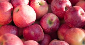 Польша начала поставлять яблоки в Китай