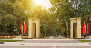 Администрация Воронежа потратит 250 млн. рублей на строительство и реконструкцию двух парков