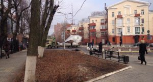 В мэрии Воронежа хотят демонтировать статую гигантской рыбы