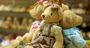 Для частного музея в Ярославле собирают игрушечных медведей